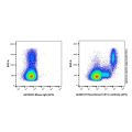 Recombinant CD11c Antibody (APC)