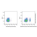 Recombinant CD8α Antibody (Pacific Blue)