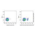 Recombinant CD8α Antibody (PerCP)