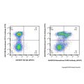 Recombinant F4/80 Antibody (AF647)