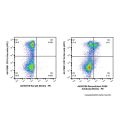 Recombinant F4/80 Antibody (Biotin)