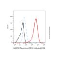 Recombinant CD146 Antibody (AF405)