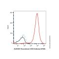 Recombinant CD36 Antibody (AF594)