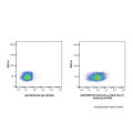 Recombinant Ly-6A/E(Sca-1) Antibody (AF405)