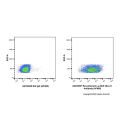 Recombinant Ly-6A/E(Sca-1) Antibody (AF488)
