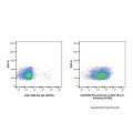 Recombinant Ly-6A/E(Sca-1) Antibody (AF555)