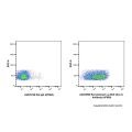 Recombinant Ly-6A/E(Sca-1) Antibody (AF660)