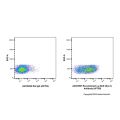 Recombinant Ly-6A/E(Sca-1) Antibody (AF700)