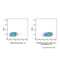 Recombinant Ly-6A/E(Sca-1) Antibody (Biotin)