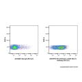Recombinant Ly-6A/E(Sca-1) Antibody (PE-Cy7)