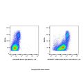 ICAM1/CD54 Mouse mAb (Biotin)