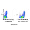 ICAM1/CD54 Mouse mAb (PE)