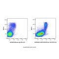 ICAM1/CD54 Mouse mAb (PE-Cy7)