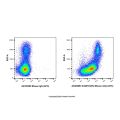 ICAM1/CD54 Mouse mAb (APC)
