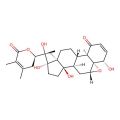 4beta-Hydroxywithanolide E
