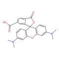 3',6'-Bis(dimethylamino)-3-oxospiro(isobenzofuran-1(3H),9'-(9H)xanthene)-6-carboxylic acid