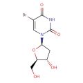 5-溴-2'-脱氧尿苷(BUdR)