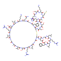 Brain Natriuretic Peptide-32 大鼠