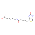 6-生物素氨基己酸