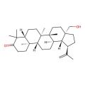 Betulone