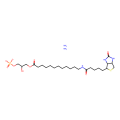1-[12-生物素(氨基十二烷酰基)]-2-羟基-sn-甘油-3-磷酸酯(铵盐)