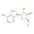 9-Beta-D-Xylofuranosyl-Adenine