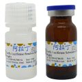 萤火虫萤光素酶报告基因检测试剂盒(辉光高亮型)