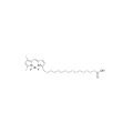 BODIPY FL-C16