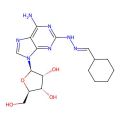 Binodenoson