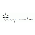 生物素 PEG 酰肼, 生物素 PEG NHNH2