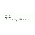 Biotin PEG Thiol, Biotin-PEG-SH