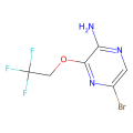 5-溴-3-(2,2,2-三氟乙氧基)吡啶-2-胺