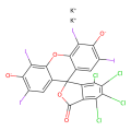 孟加拉玫瑰红B