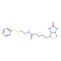 生物素-[2-（2-吡啶基二硫代）乙酰胺]