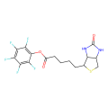 （+）-生物素-PFP-酯