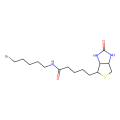生物素5-溴戊酰胺