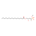 [1-bromo-(3S)-hydrox-4-(palmitoyloxy)butyl]phosphate