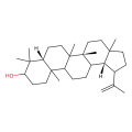 3beta-Hydroxy-20(29)-lupene