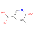 (5-methyl-6-oxo-1H-pyridin-3-yl)boronic acid