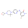 5-bromo-3-[[5-[2,2-dimethyl-4-(oxetan-3-yl)piperazin-1-yl]-2-pyridyl]amino]-1-methyl-pyridin-2-one