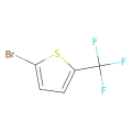 2-bromo-5-(trifluoromethyl)thiophene