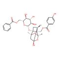 Benzoyloxypaeoniflorin