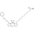 BODIPY 581/591 C11 (脂质过氧化传感器) 