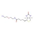 Biotin-PEG1-NH2