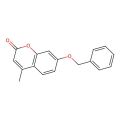 7-Benzyloxy-4-methyl-chromen-2-one