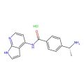 Benzamide, 4-((1R)-1-aminoethyl)-N-1H-pyrrolo(2,3-b)pyridin-4-yl-, hydrochloride (1:1)