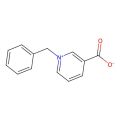 1-苄基吡啶嗡-3-羧酸盐