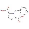 1-苄基吡咯烷-2,5-二甲酸