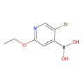 5-溴-2-乙氧基吡啶-4-硼酸(含数量不等酸酐)