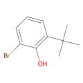 2-溴-6-叔丁基苯酚